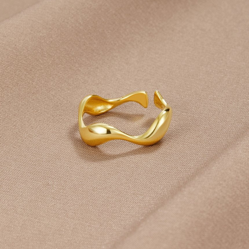 Anillo de onda