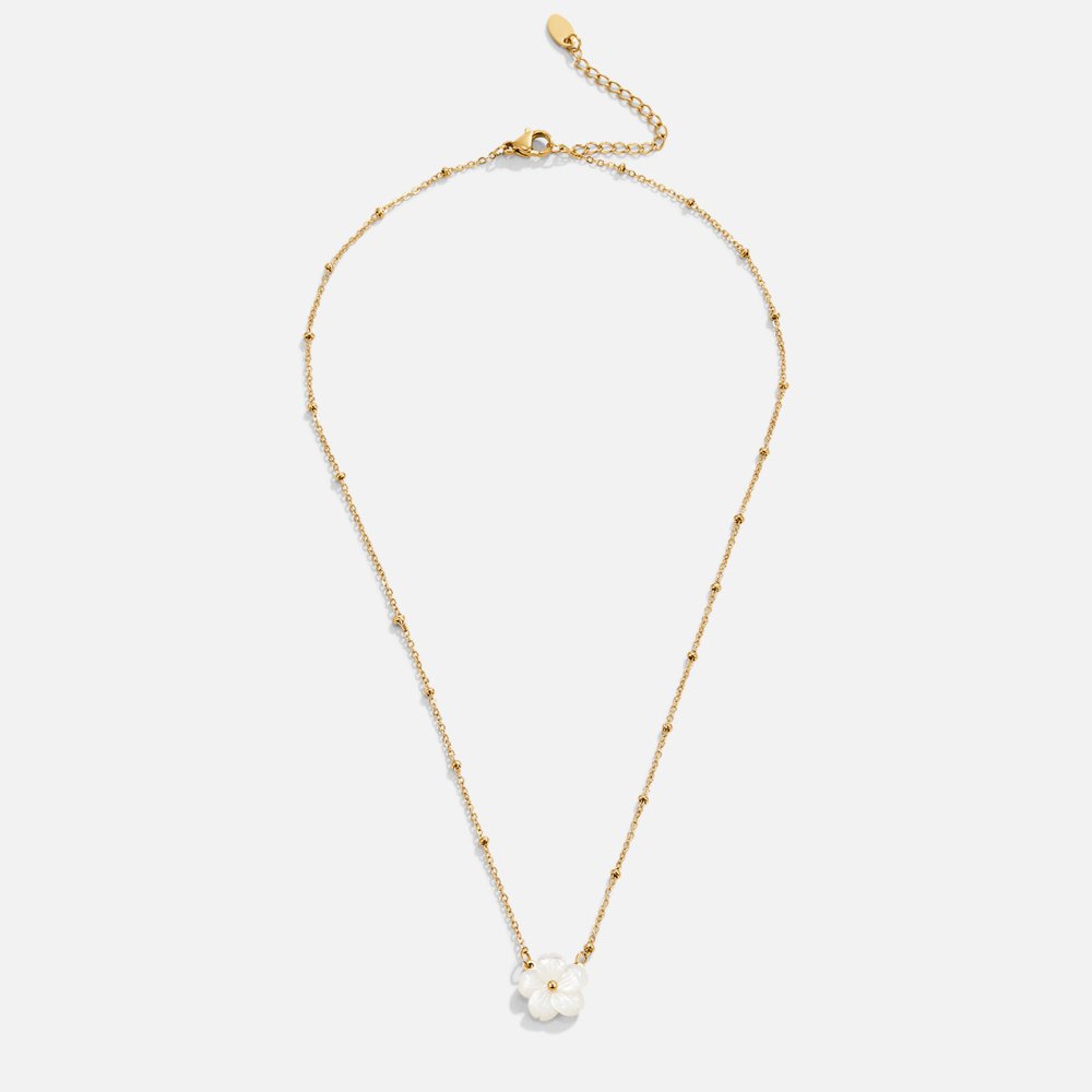 Collar de flores blancas florecientes